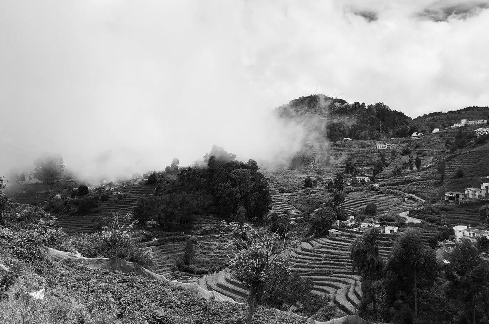 Photograph by Surendran Kalaivani