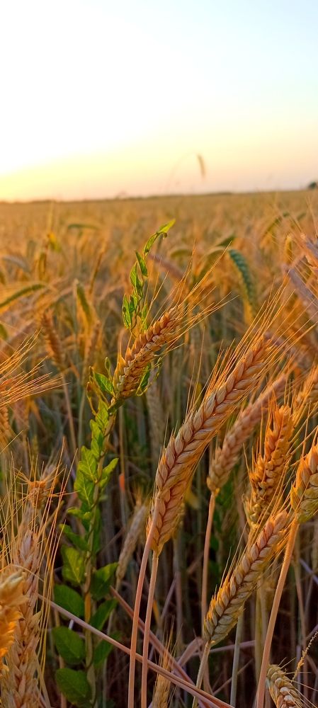 Фотография автора Михаил Лупина