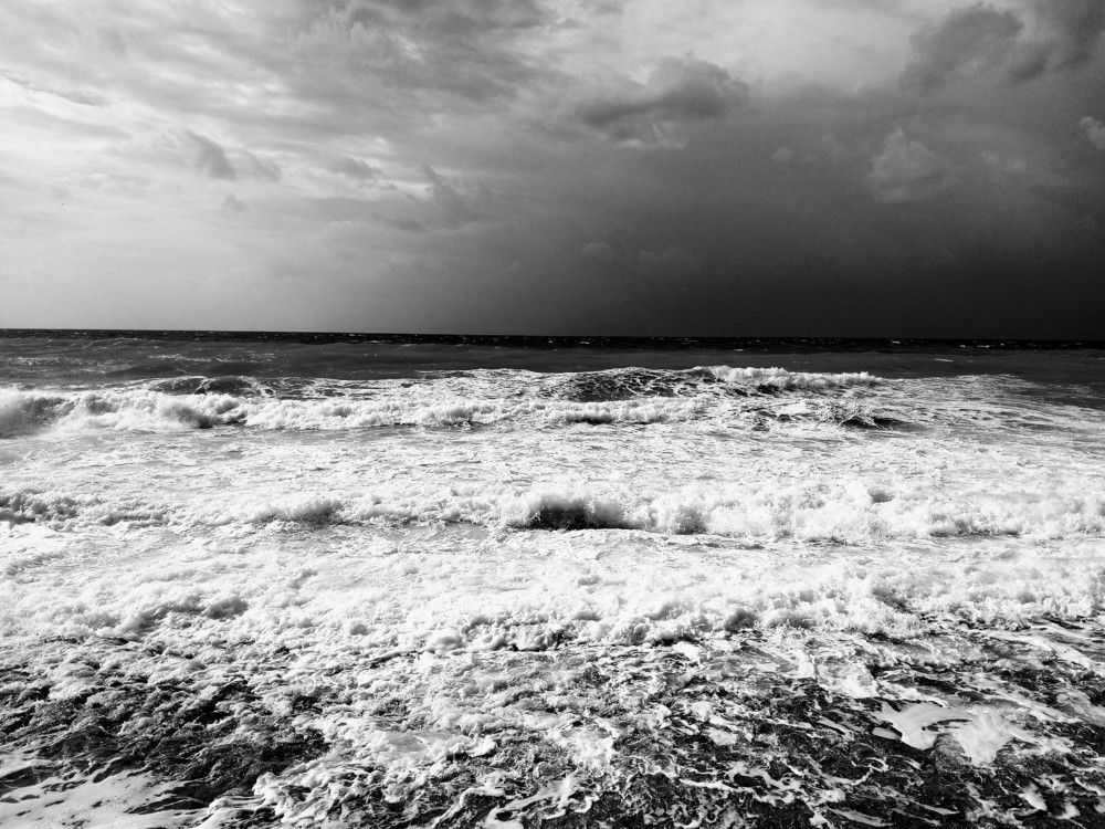 Photograph by Layal Farah