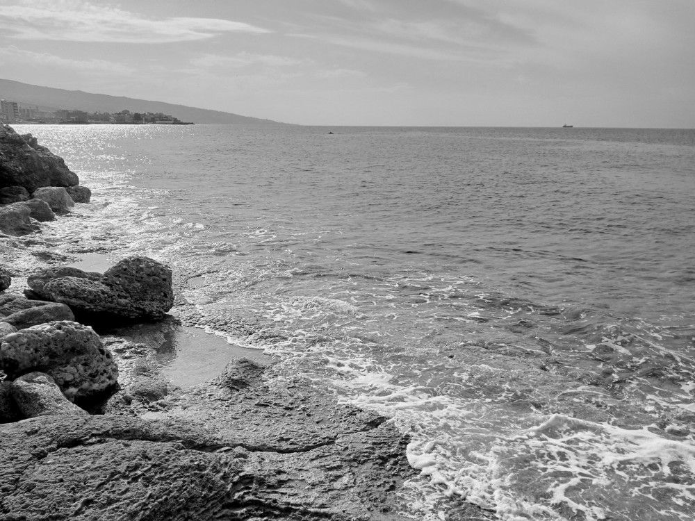 Photograph by Layal Farah