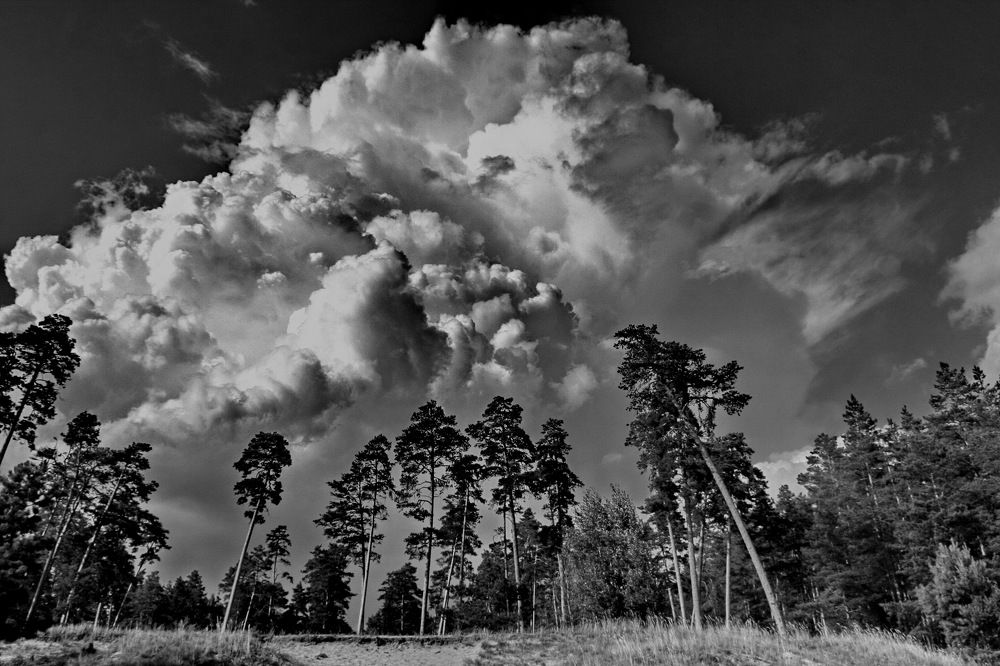 Photograph by вячеслав милов