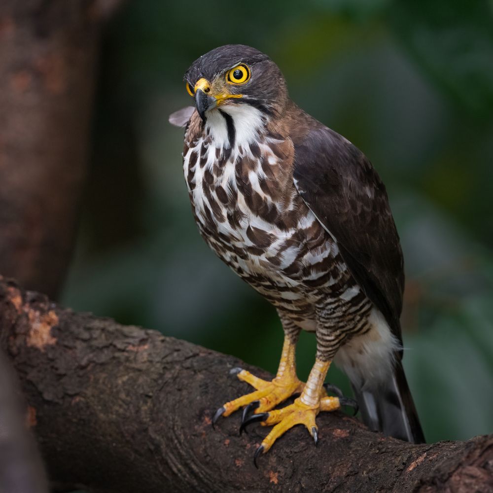 Photograph by Lucas Oh