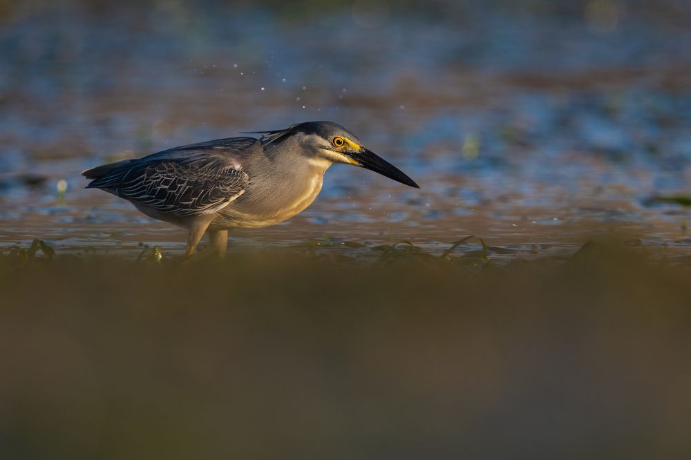 Photograph by Lucas Oh