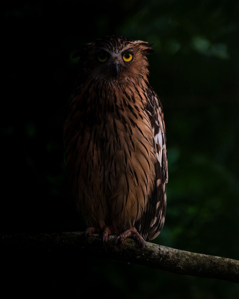 Photograph by Lucas Oh