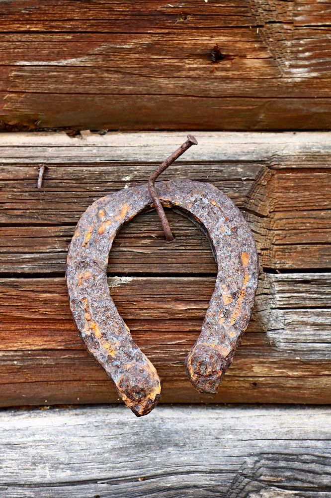 Фотография автора Сергей Барановский