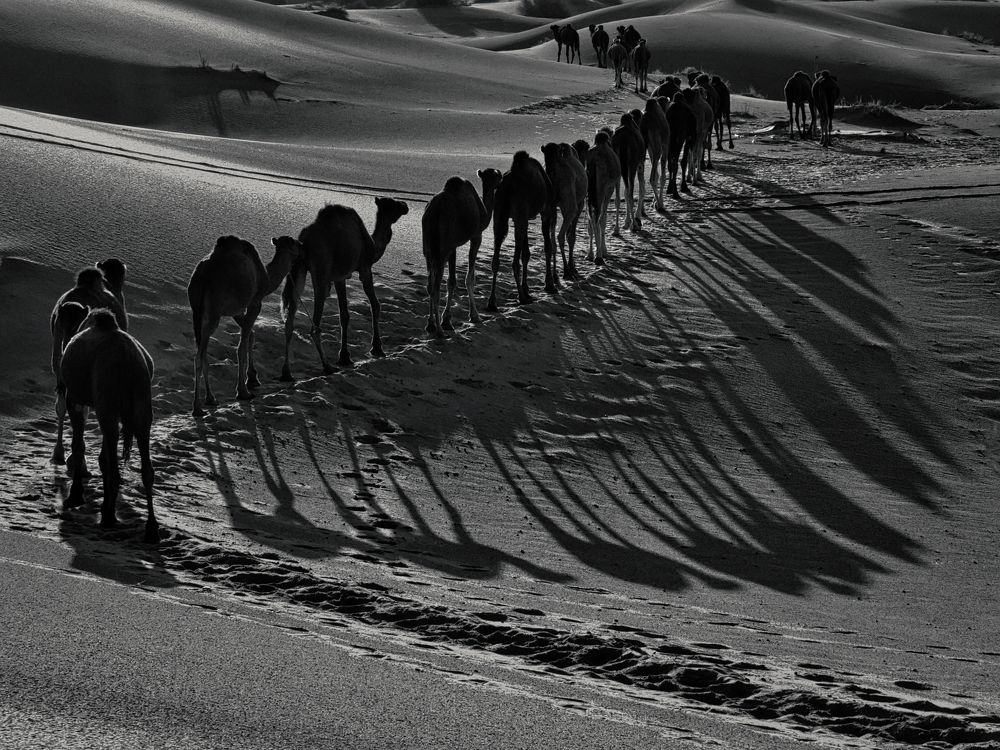 Photograph by Adrian Adi Gli