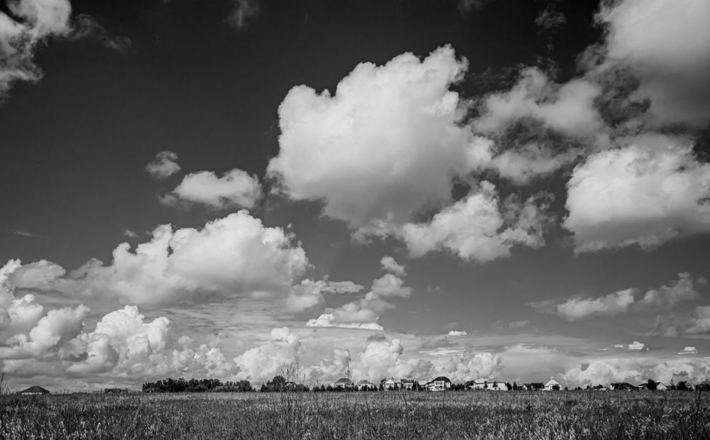 Photograph by Игорь Черемных