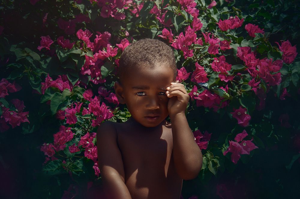 Lágrimas de cocodrilo