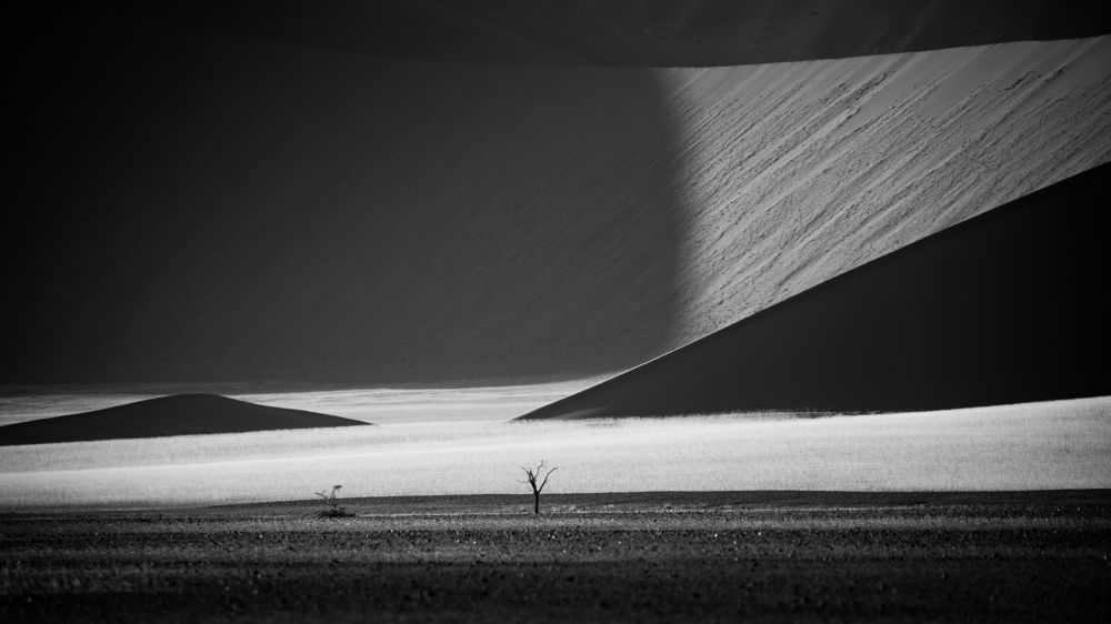 Photograph by Roman Bevzenko