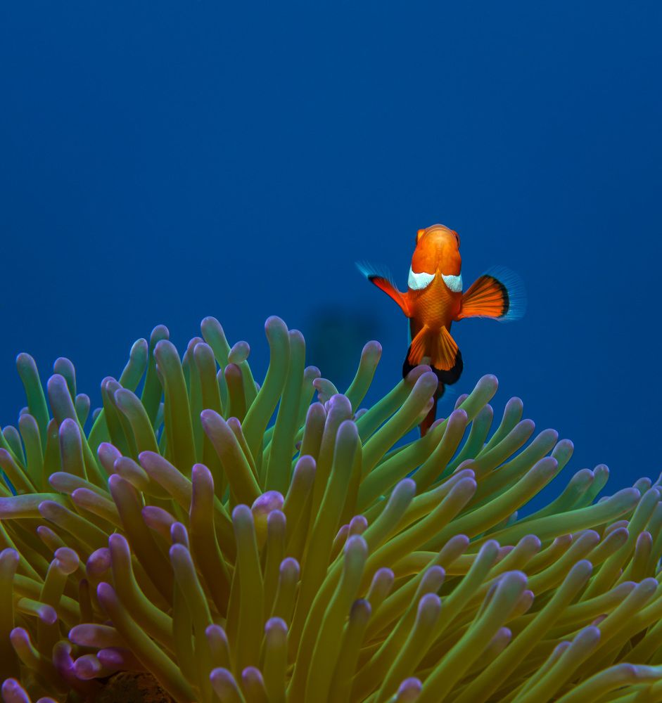 Photograph by Савин Андрей