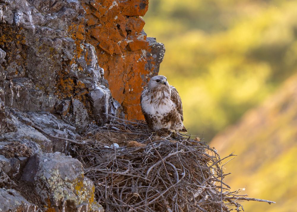 Photograph by Юрий Харченко
