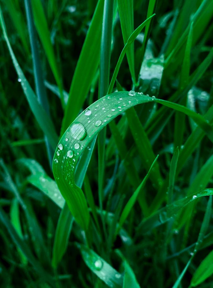 Photograph by Nastenkar12@mail.ru