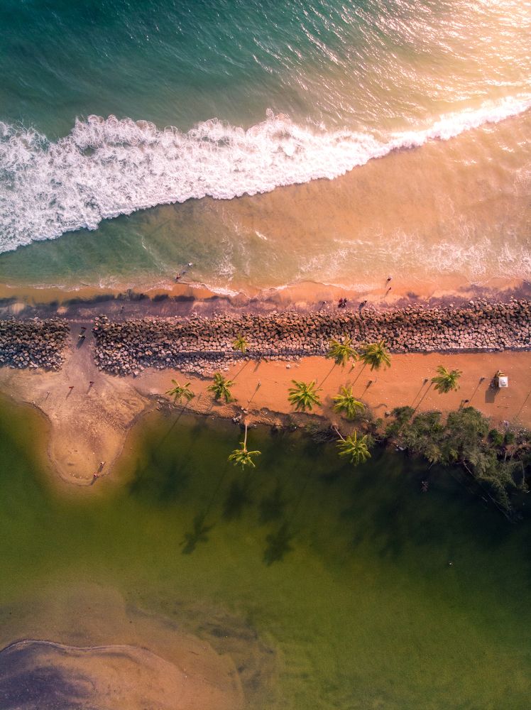 Photograph by Sharan GC