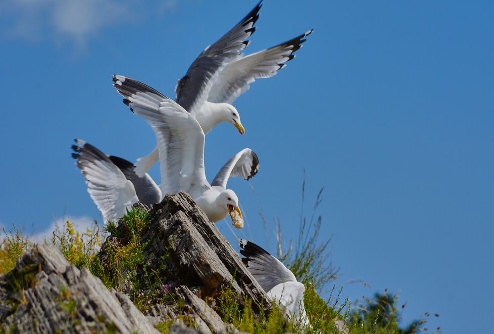 Фотография автора Александра Янчуковская