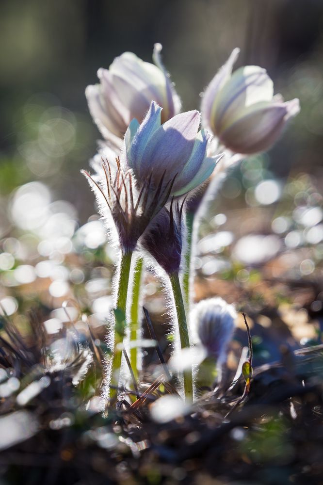 Photograph by Юрий