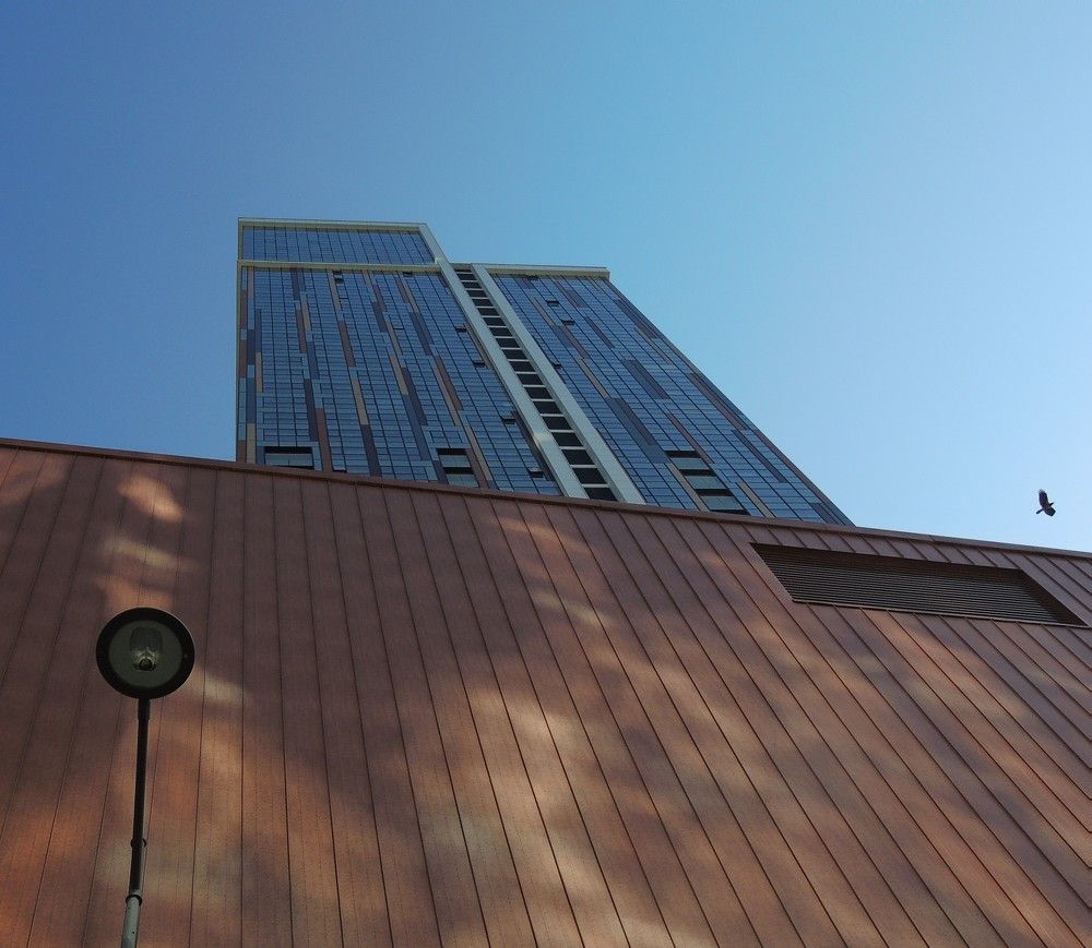 Фотография автора Tsitsi Petriashvili