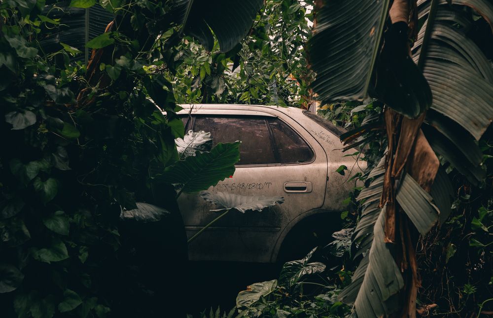 Photograph by Fahim Rahman