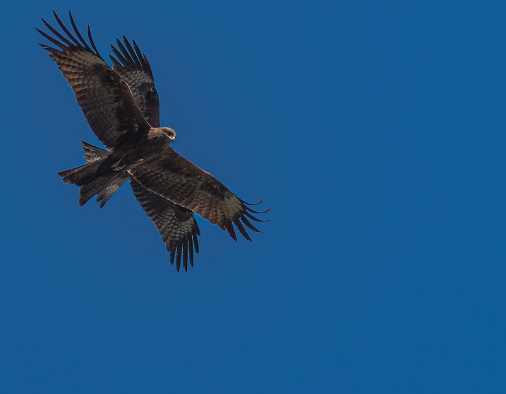 Photograph by Igor N. Adamov