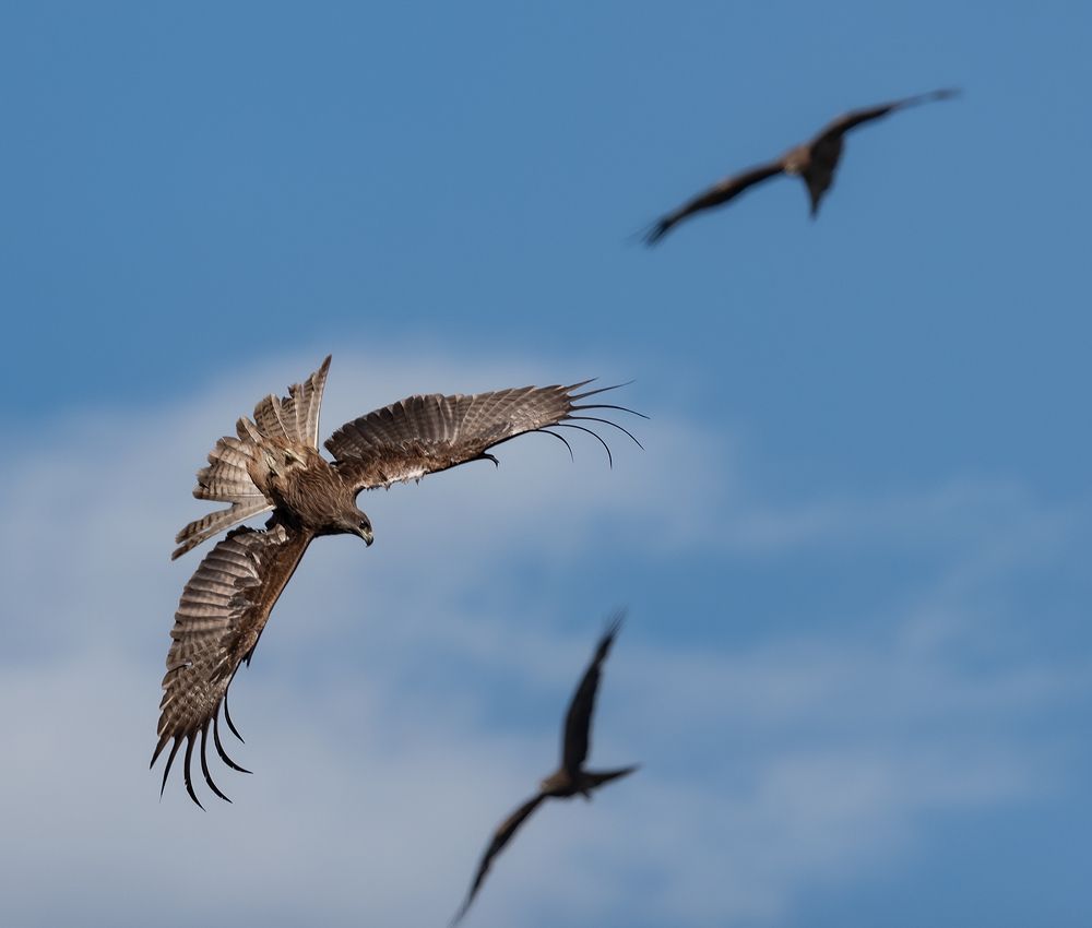 Photograph by Igor N. Adamov