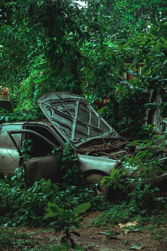 Photograph by S.M. Fahim Rahman Prottoy