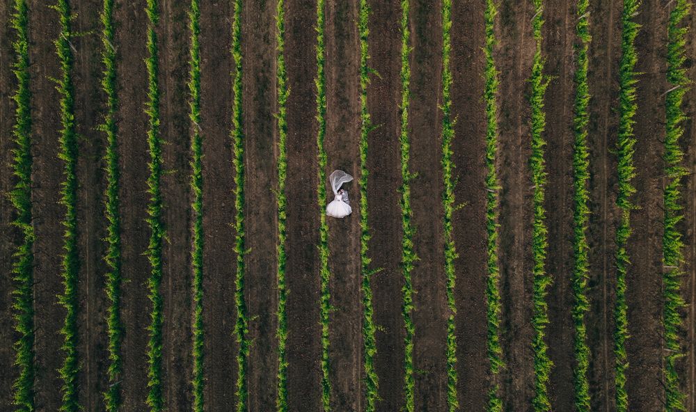 Photograph by Александр Назар