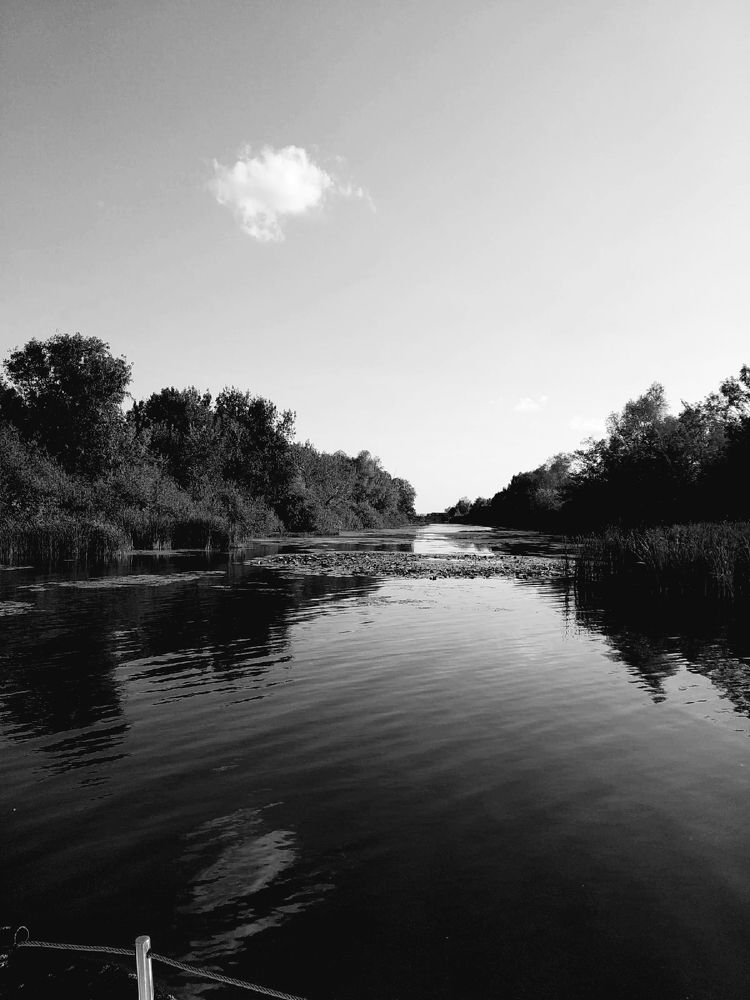 Photograph by Ольга