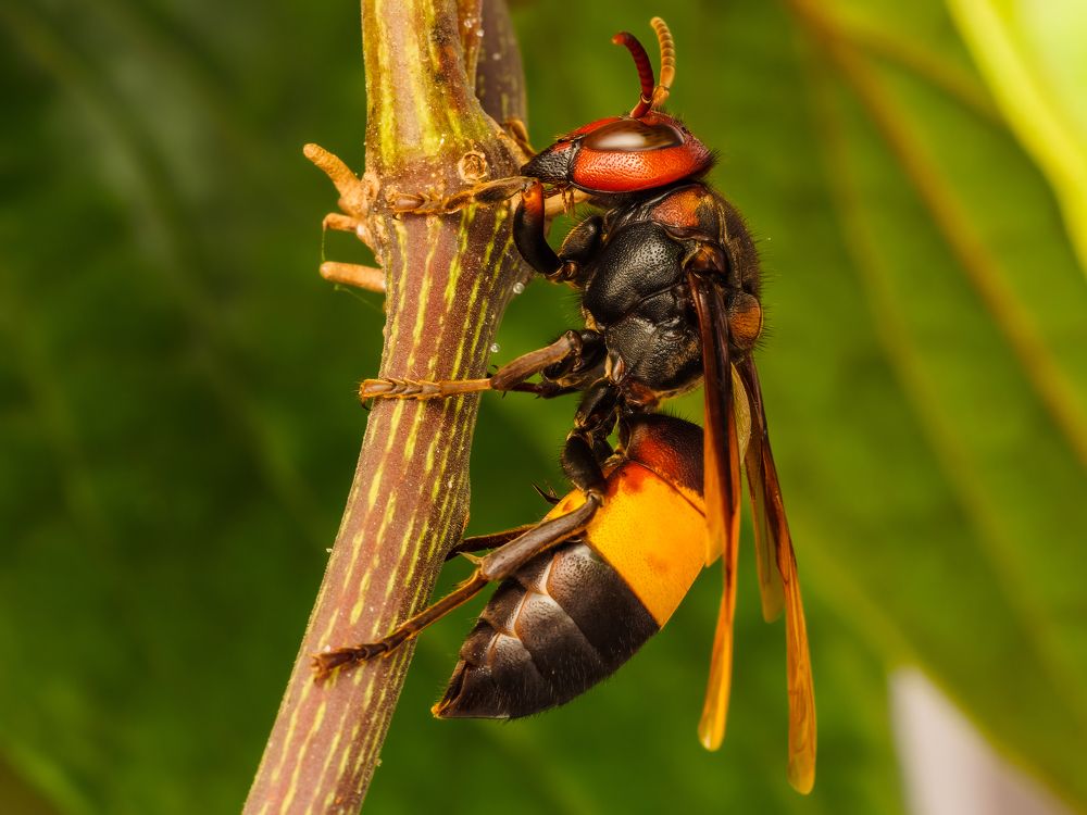 Photograph by Venkat Mangudi
