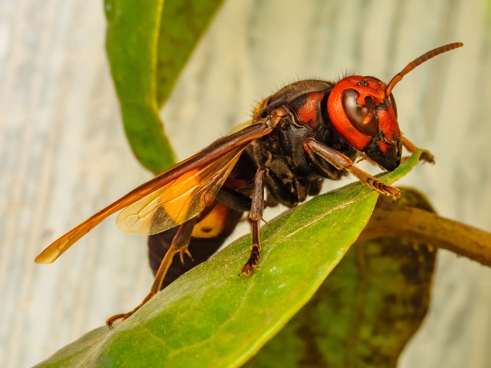 Photograph by Venkat Mangudi