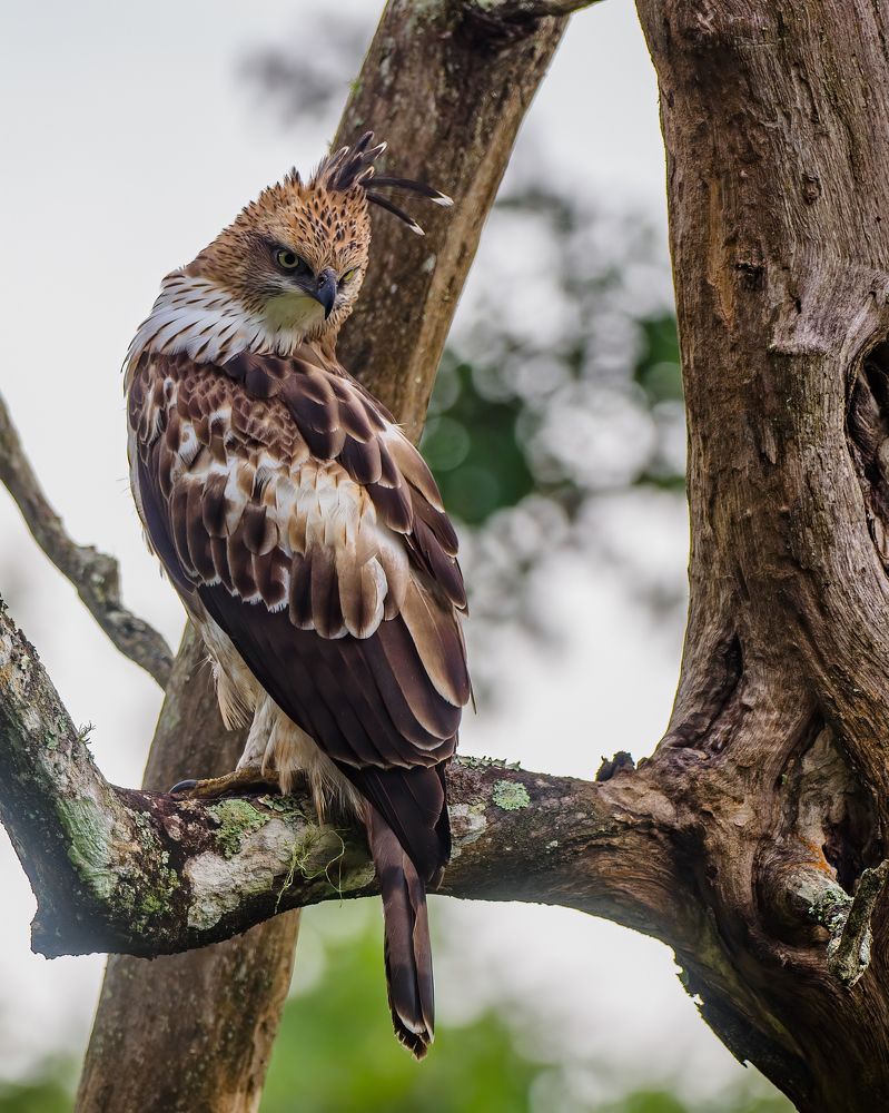 Photograph by Venkat Mangudi
