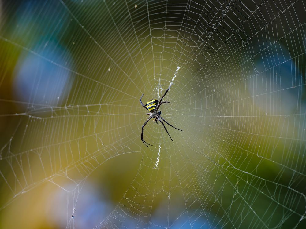 Photograph by Venkat Mangudi