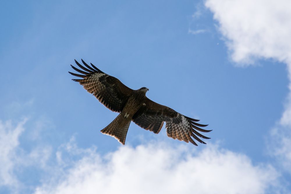 Photograph by Игорь Черемных