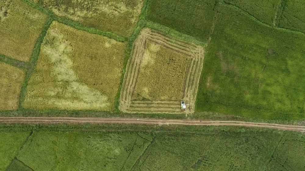 Photograph by Chanaka