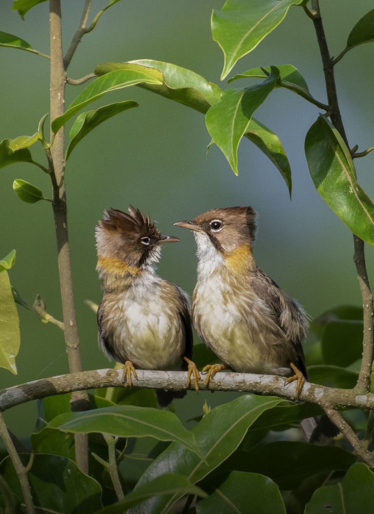 Lovely couple.