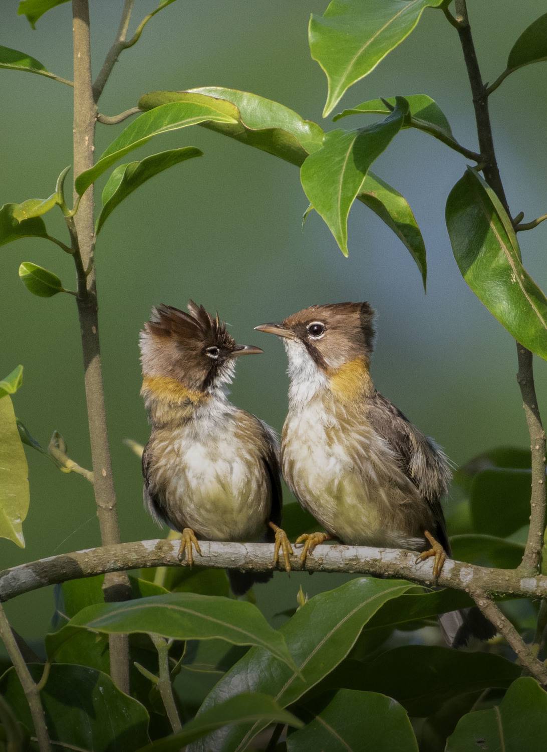 Lovely couple.