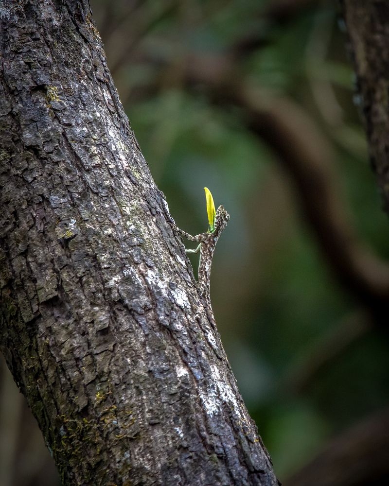 Photograph by Aravind Shetty