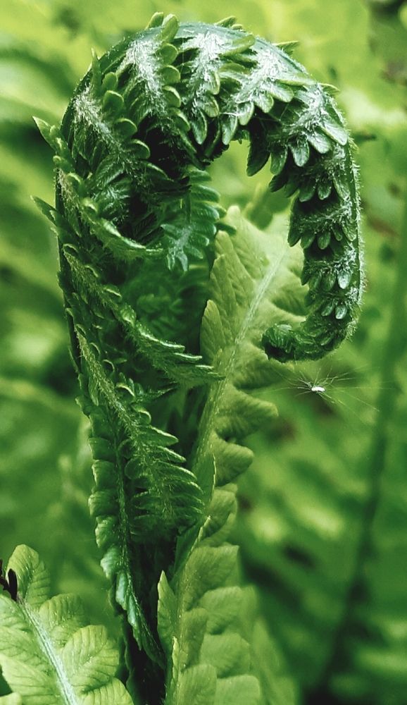 Photograph by Ольга