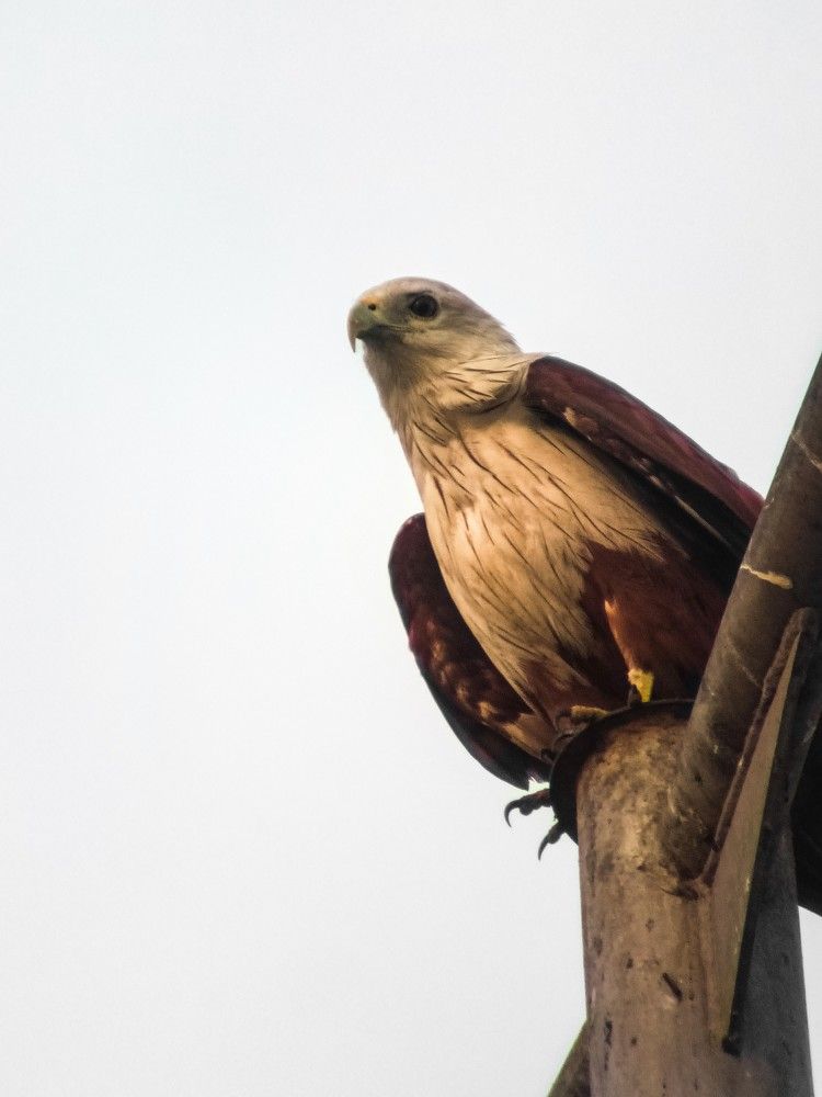 Photograph by GOVIND VISWANATH