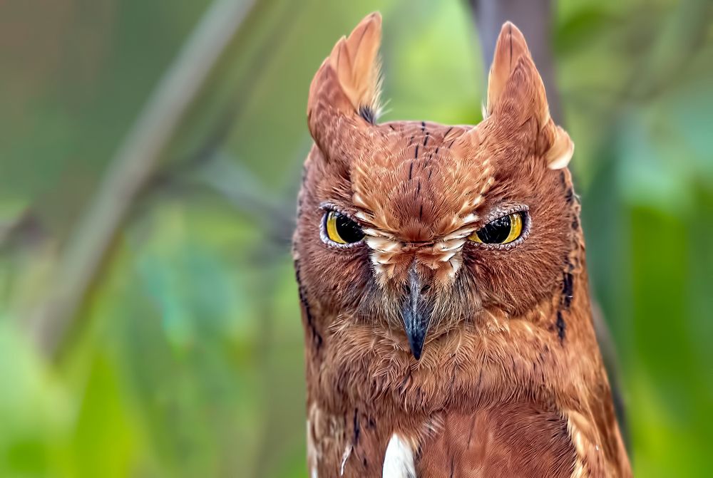 Photograph by Manish Nikte