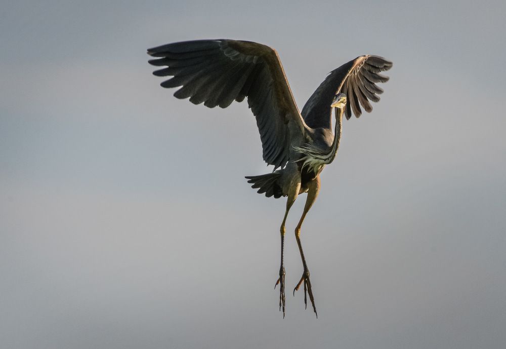 Photograph by Борис Пирог