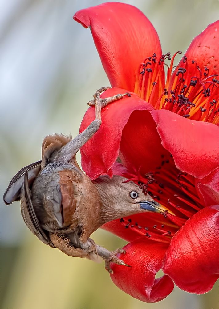 Photograph by Manish Nikte