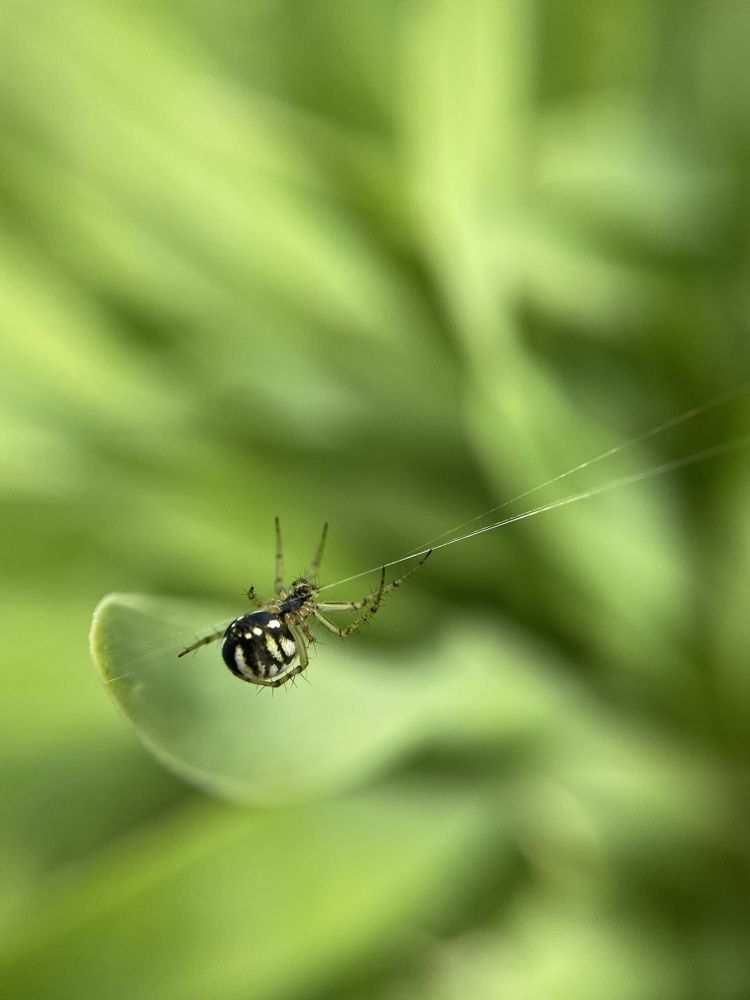 Photograph by Олег Терешкин