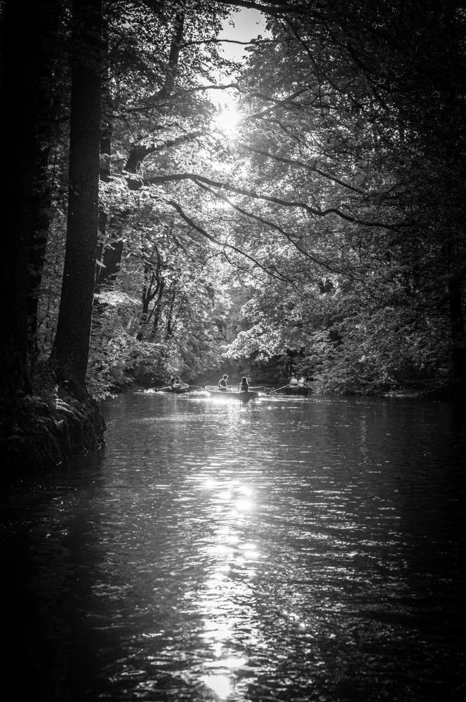 Photograph by Дмитрий Васильев