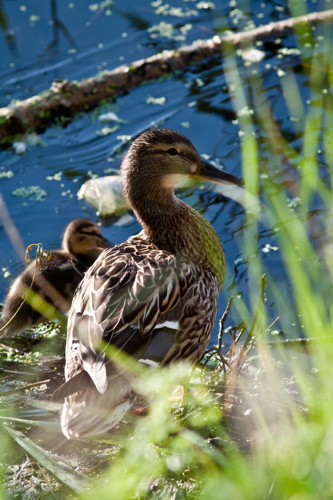 Photograph by Олег Терешкин