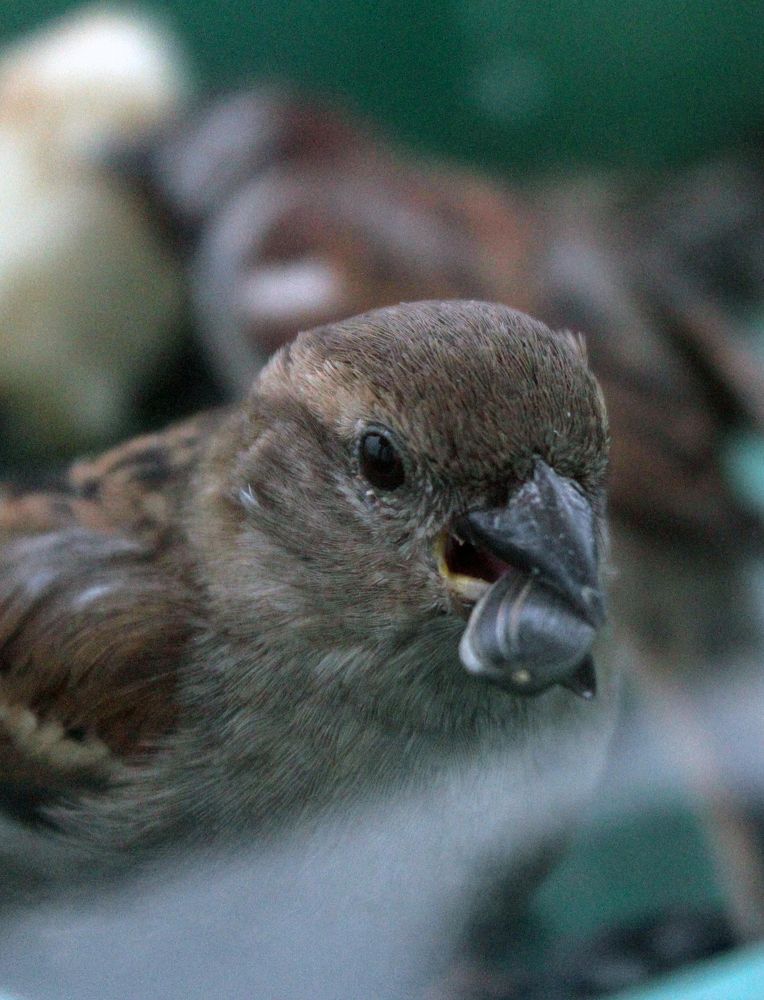 Photograph by Люция Кутлугужина