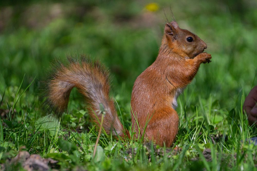 Photograph by Александр Ходакин