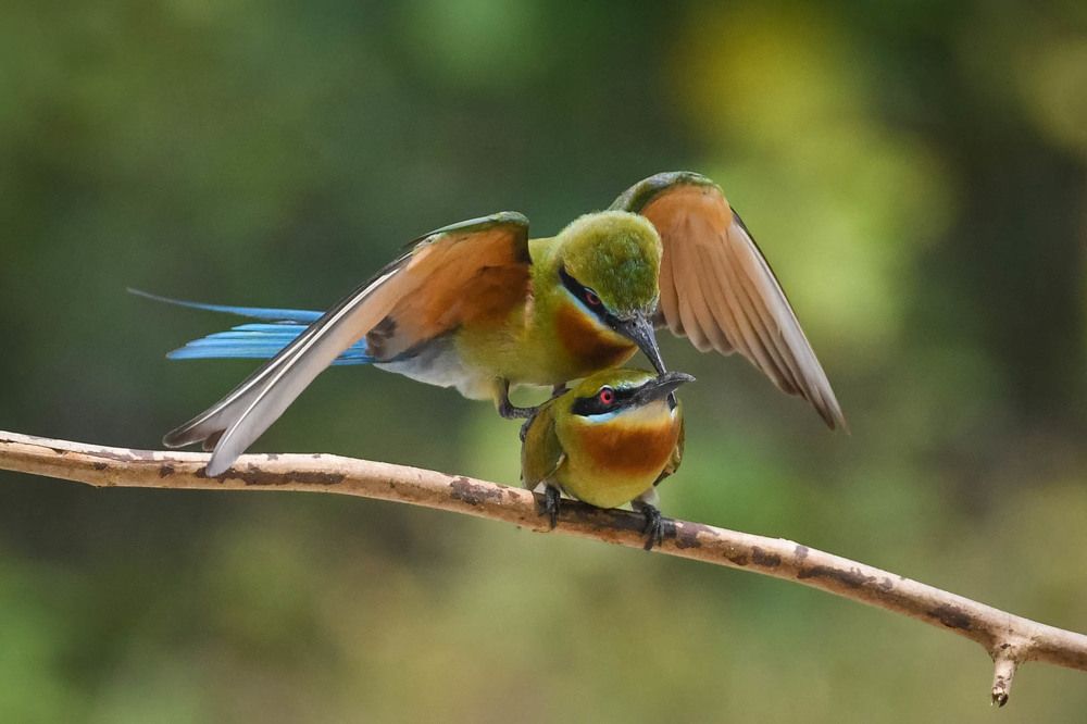 Photograph by DEBJYOTI MONDAL