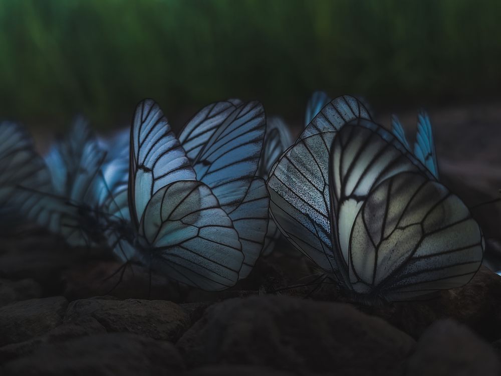 Photograph by Илья Толстоноженко