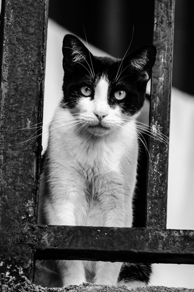 Photograph by Mauricio Santiago Boulogne