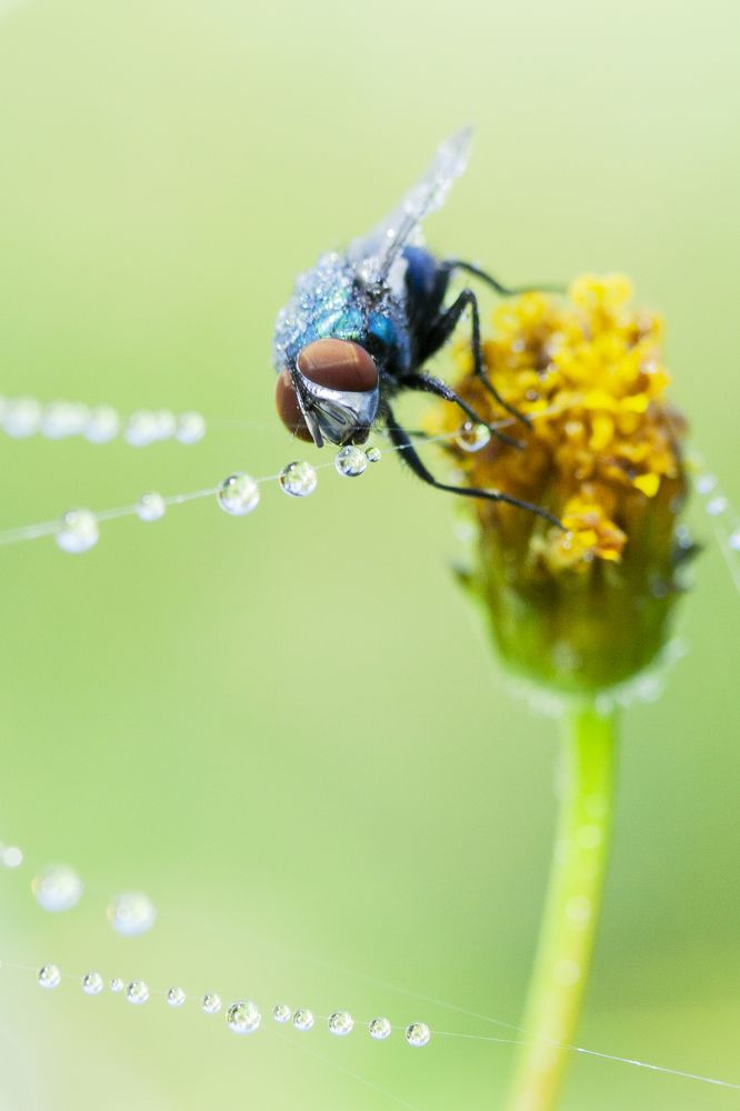 Photograph by Michelle Burge