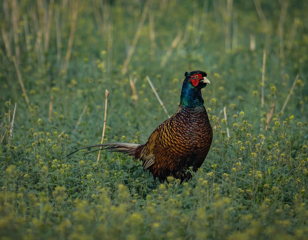 Photograph by Дмитрий Власов